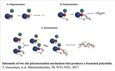 Isobutanol 與其在聚合物合成及溶劑應用中的重要性！