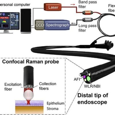  拉曼散射光纖探測器！Revolutionizing Biomedical Sensing and Environmental Monitoring