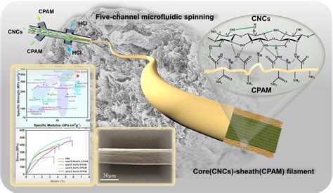  Cellulose Nanocrystals：高強度、高延展性的未來材料！