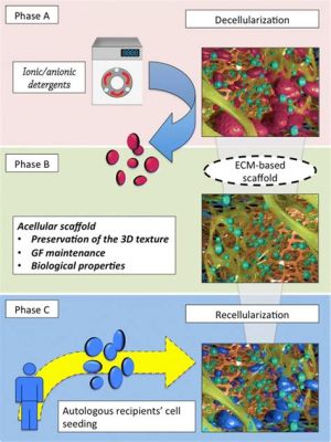  Lactate-Based Biomaterial: Revolutionizing Tissue Engineering and Regenerative Medicine?